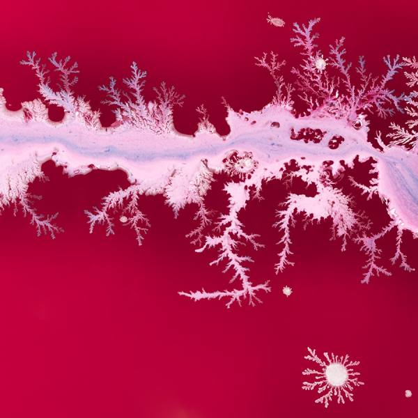 Photograph Jonathan Knowles Paint Patterns on One Eyeland